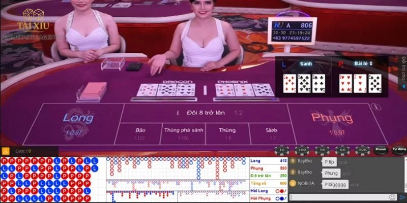 Cược với trác kim hoa có các hạng mục rất cụ thể.