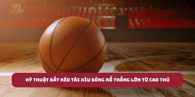 Kỹ Thuật Bắt Kèo Tài Xỉu Bóng Rổ Thắng Lớn Từ Cao Thủ