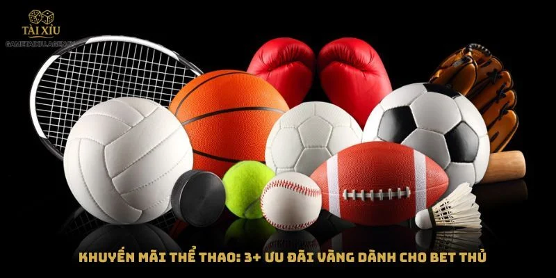 Khuyến Mãi Thể Thao: 3+ Ưu Đãi Vàng Dành Cho Bet Thủ